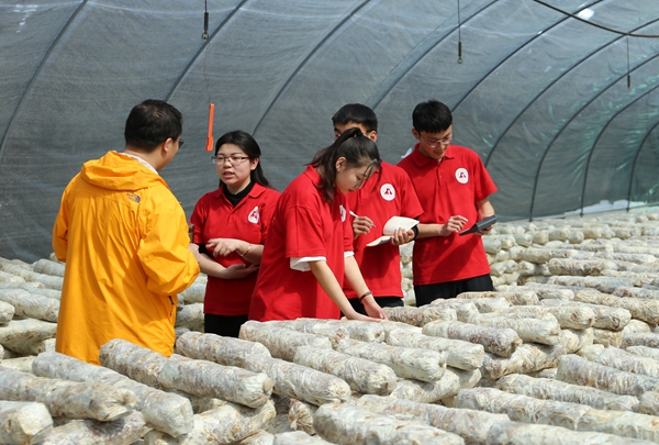 图为燕京理工学院师生调研香菇种植基地，为&ldquo;互联网+特产&rdquo;网络营销做准备 李家曾摄.JPG